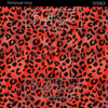 Bright Swan - Patterned Vinyl & HTV - 511063