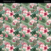 Bright Swan - Patterned Vinyl & HTV - 511619