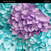 Bright Swan - Patterned Vinyl & HTV - 511700
