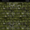 Bright Swan - Patterned Vinyl & HTV - 511895