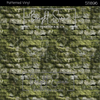 Bright Swan - Patterned Vinyl & HTV - 511896