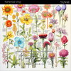 Bright Swan - Patterned Vinyl & HTV - 512448
