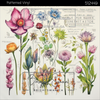 Bright Swan - Patterned Vinyl & HTV - 512449