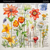 Bright Swan - Patterned Vinyl & HTV - 512451