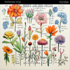 Bright Swan - Patterned Vinyl & HTV - 512458