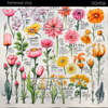 Bright Swan - Patterned Vinyl & HTV - 512459