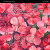Bright Swan - Patterned Vinyl & HTV - 512476