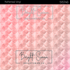 Bright Swan - Patterned Vinyl & HTV - 515740