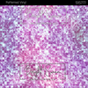 Bright Swan - Patterned Vinyl & HTV - 515777