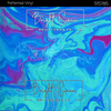 Bright Swan - Patterned Vinyl & HTV - 515785