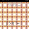 Bright Swan - Patterned Vinyl & HTV - 517070