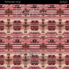 Bright Swan - Patterned Vinyl & HTV - 517127