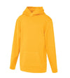 Bright Swan - ATC Game Day Fleece Youth Hoodie - Y2005 - Gold