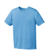 Bright Swan - ATC Pro Team Short Sleeve Youth Tee - Y350 - Carolina Blue