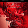 Bright Swan - Patterned Vinyl & HTV - 501088
